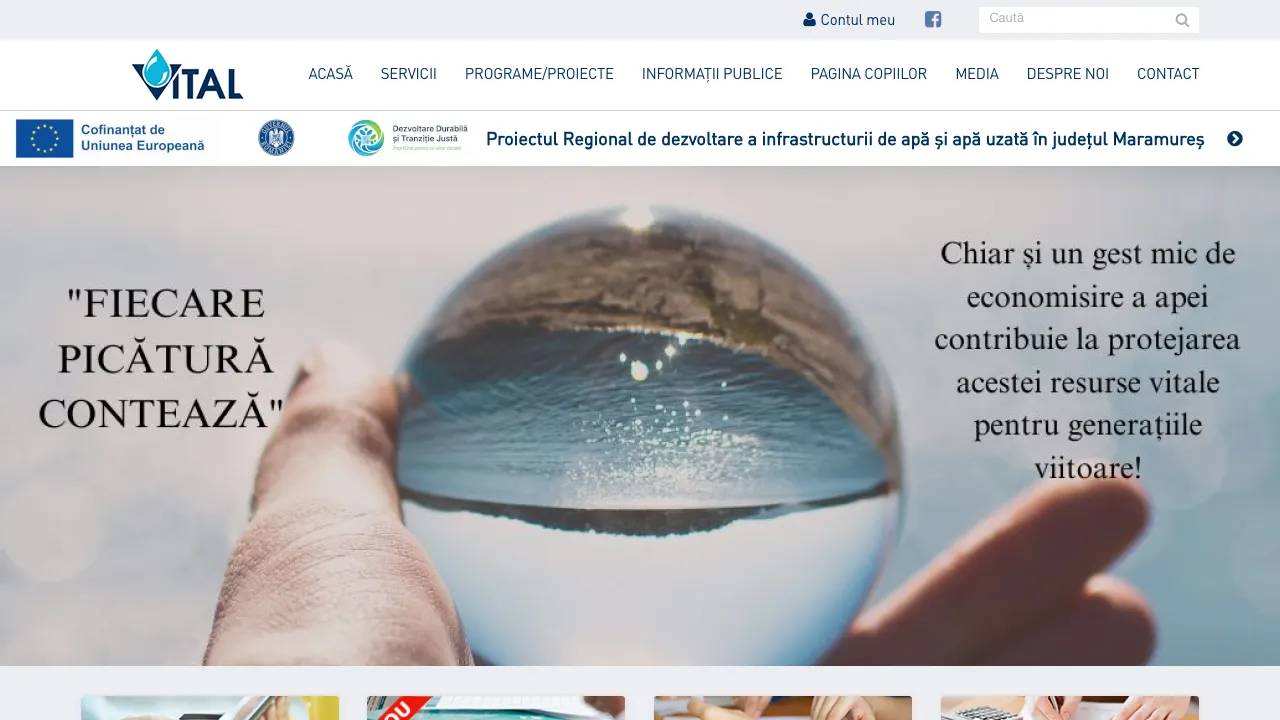 Site oficial Vital Baia Mare